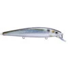 Strike King KVD 300 Jerkbait - 4.75" 1 Strike King KVD 300 Jerkbait - 4.75" -Fishing Equipment Store Strike King KVD 300 Jerkbait 4 75 051034248524 image1 06578.1573148046
