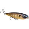 Strike King KVD Sexy Dawg Jr 3-3/4" Top Water Bait