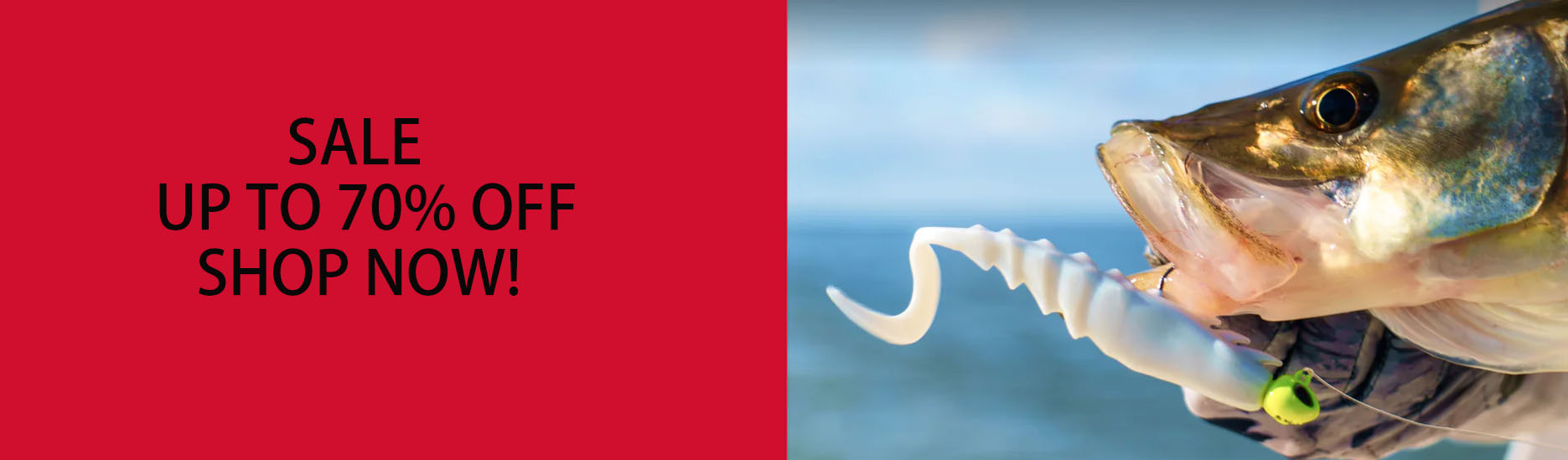 Fishing Equipment Store -Fishing Equipment Store DFGDG