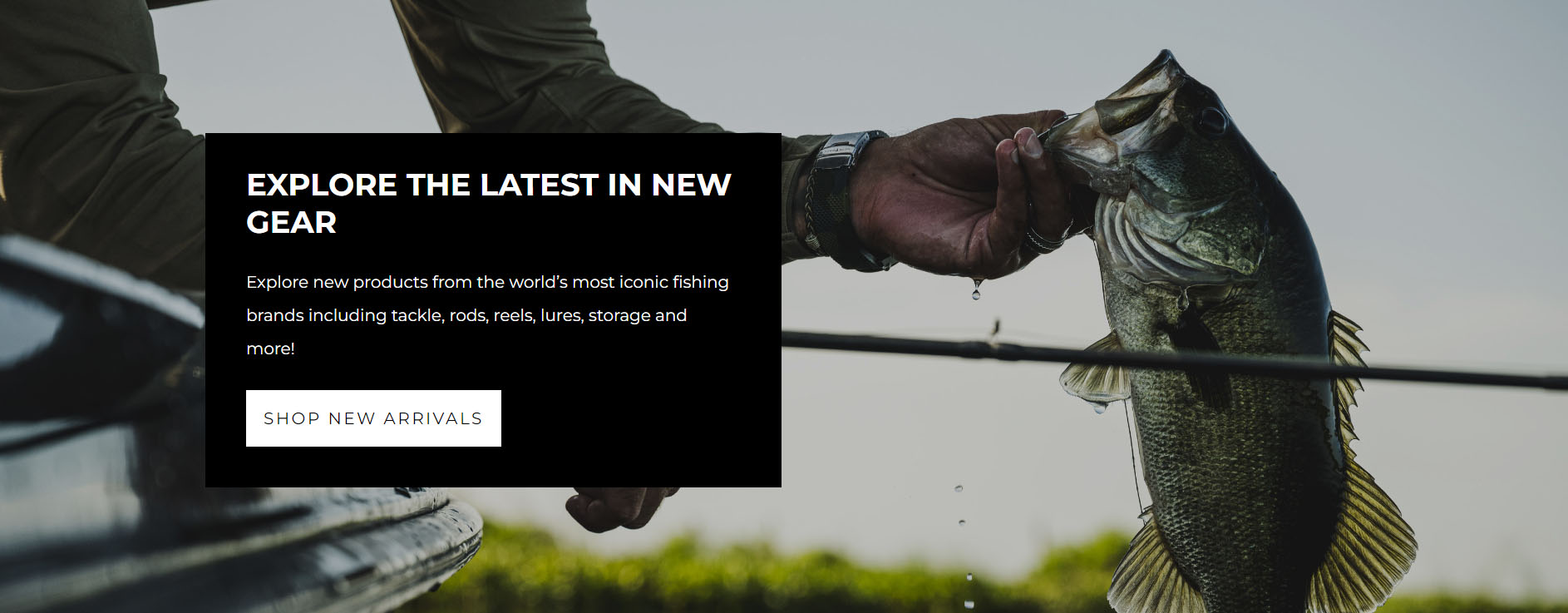 Fishing Equipment Store -Fishing Equipment Store fgfg